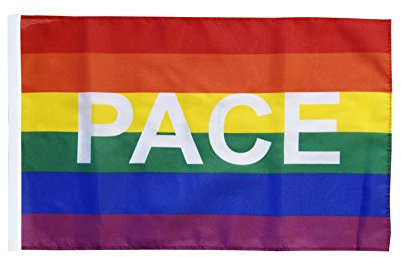 Flaggenfritze® Flagge Regenbogen mit PACE - 30 x 45 cm