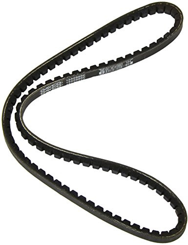 DAYCO 13A0965C Gürtel