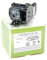 Alda PQ-Premium, Beamerlampe/Ersatzlampe kompatibel mit VT80LP, LV-LP27, 1298B001AA für NEC VT48, VT48+, VT48G, VT49, VT49+, VT49G, VT57, VT57G, VT58, VT58G Projektoren, Lampe mit Gehäuse