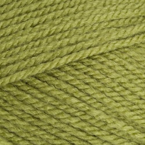 Stylecraft 9051065 Special Aran Meadow (1065) Yarn - 100g