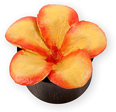 Fly Style Piercing Ohr Tunnel Plug - Ohr Piercings - Earplug Holz - Hibiskus Blume - Piercing Schmuck, Grösse:8 mm, Farbwahl:orange