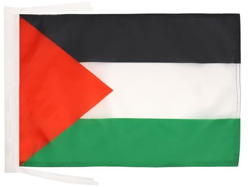 BANDERA de PALESTINA 45x30cm - BANDERINA PALESTINA 30 x 45 cm cordeles - AZ FLAG