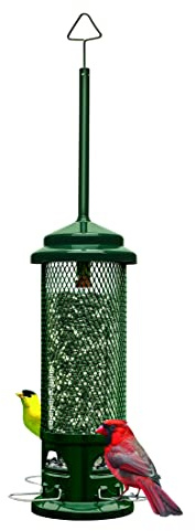 Squirrel Buster Legacy Squirrel-Proof Bird Feeder for Wild Birds – 4 Metal Removable Perches, 2.6 lb Seed Capacity, Chew-Proof Design, Easy to Clean, Green