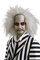 Costumes For All Occasions Beetlejuice Percke fr Erwachsene, Synthetisches Haar, Percke, 78737031, 1981438031