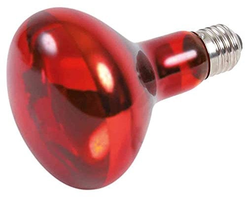 Trixie 76097 Infrarot Wärme-Spotlampe, ø 80 × 108 mm, 100 W