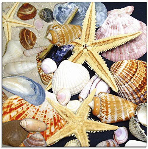 ARTland Wanddeko Glasbilder Wandbild Glas Bild einteilig Quadratisch Natur Strand Muscheln Seestern Küste Meer Maritim S6QU