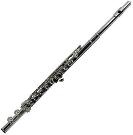 Gemeinhardt 1SP Student Flute