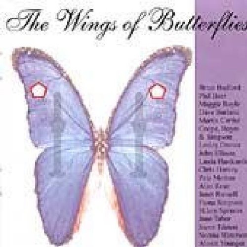 The Wings of Butterflies