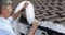 Hedgehog Gutter Guard 5 x 4m Length - WHITE