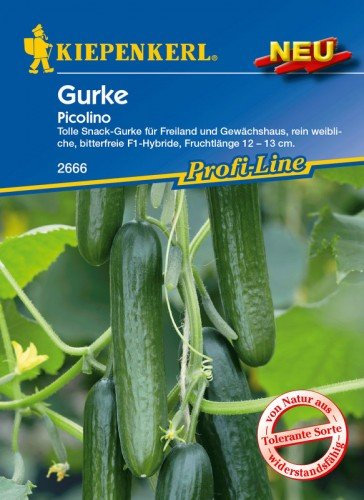 Kiepenkerl Profi-Line Snackgurkensamen Picolino F1 - Widerstandsfähige F1-Hybride Gurkensamen 2666, Ideal für Snack-Gemüse