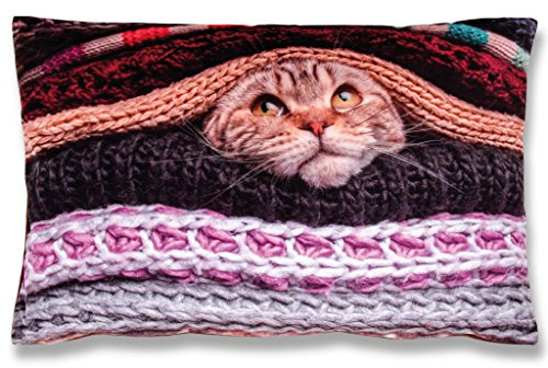 Bestlivings Kissenbezug mit Fotodruck 40x60cm, Flauschig weiche Kissenhülle, Bezug mit Reißverschluss, ideal für Dekokissen (Design: Katze)