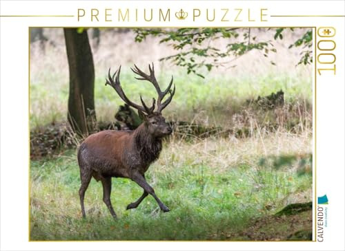 CALVENDO Puzzle Aufgeregt vertreibt der Platzhirsch die Nebenbuhler. | 1000 Teile Lege-Größe 64 x 48 cm Foto-Puzzle für glückliche Stunden