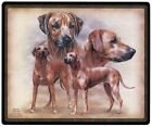 Mauspad Mousepad Hundemotiv - Rhodesian Ridgeback - 22594 Gr. 24 x 20cm