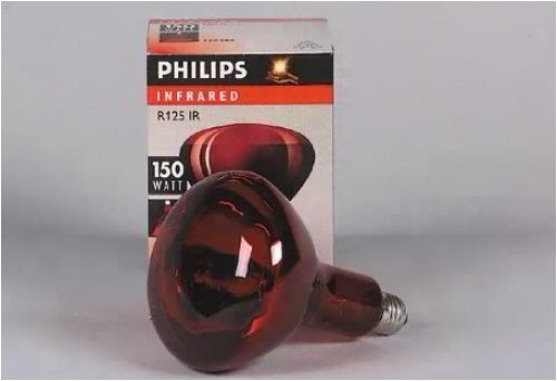 PHILIPS-LICHT Infrarotstrahler 150W E27, R125, rot IR