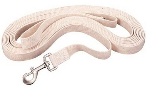 Weaver Leather Flat Cotton Lunge Line with Snap, 1-Inch x 30-Feet, White