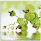 ARTland Wanddeko Glasbilder Wandbild Glas Bild einteilig 20x20 cm Quadratisch Natur Blumen Blüten Orchideen Botanik Floral T5OW