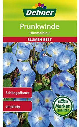 Dehner Blumen-Saatgut, Prunkwinde Himmelblau, 5er Pack (5 x 2.5 g)