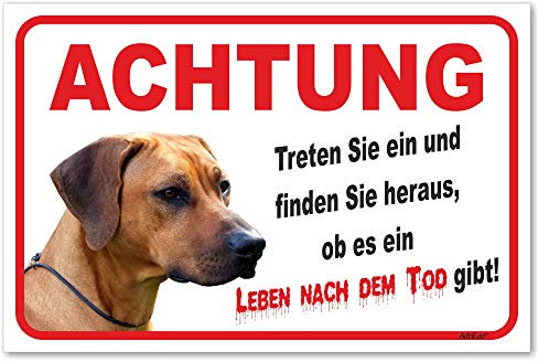 AdriLeo Schild - Vorsicht Rhodesian Ridgeback - Leben nach dem Tod - (15x20cm) / Achtung Hund Wachhund robust langlebig UV-beständig wetterfestes Warnschild