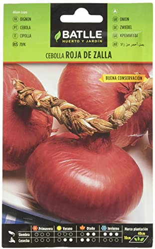 Semillas Batlle Graines d’Oignon Rouge De Zalla (Type Niort)
