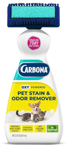 Carbona 2 in 1 Oxy-powered Pet Stain | 1 Pack