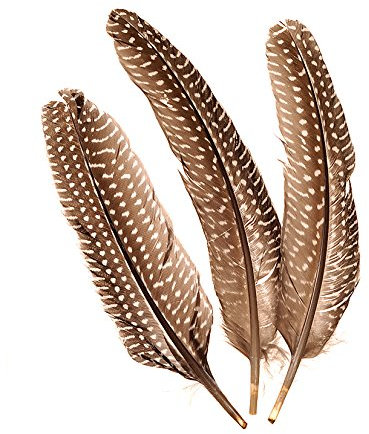 Echte Fasanenfedern/Federn NATUR - DUNKEL (8 Stück / 15-20 cm)