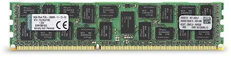 Kingston Memoria RAM 16GB DDR3L 1600MHz Reg ECC [Vecchio Modello]