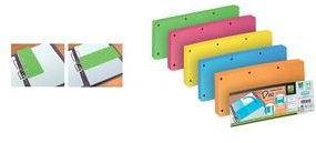 ELBA Trennstreifen Duo, aus Karton, 240 x 105 mm, grün
