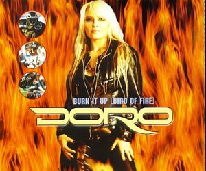 Steamhammer (Spv)