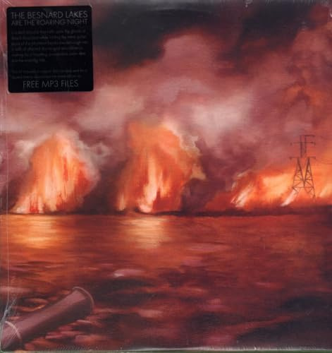 BESNARD LAKES ARE THE ROARING NIGHT