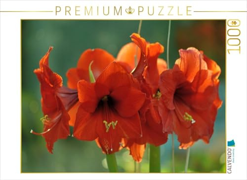 CALVENDO Puzzle Amaryllis | 1000 Teile Lege-Größe 64 x 48 cm Foto-Puzzle für glückliche Stunden