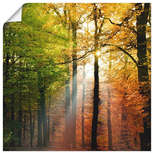ARTLAND Wanddeko Poster & Kunstdrucke Wandposter Natur Landschaft Wald Herbst Sonne Bäume Landhaus T5VL