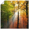 ARTLAND Wanddeko Poster & Kunstdrucke Wandposter Natur Landschaft Wald Herbst Sonne Bäume Landhaus T5VL