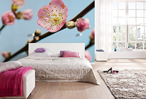Komar Vlies Fototapete Peach Blossom, 350 x 250 cm, 7 Bahnen