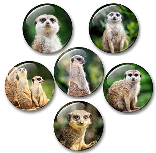 Merchandise for Fans Erdmännchen in der Wüste Porträts - 6 große Kühlschrankmagnete [ 03 ]