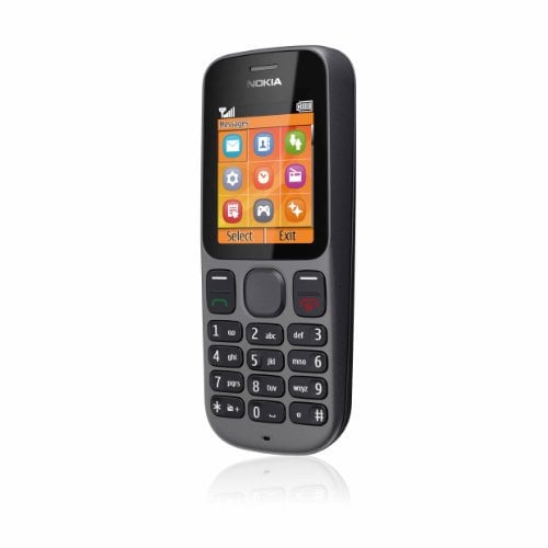 Nokia 100 Telefono Cellulare, Nero [EU]