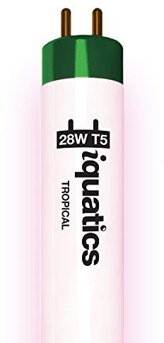 iQuatics Juwel Compatible Aquarium Fluorescent Light Bulb T5 (Single), Tropical, 28w 590mm 24