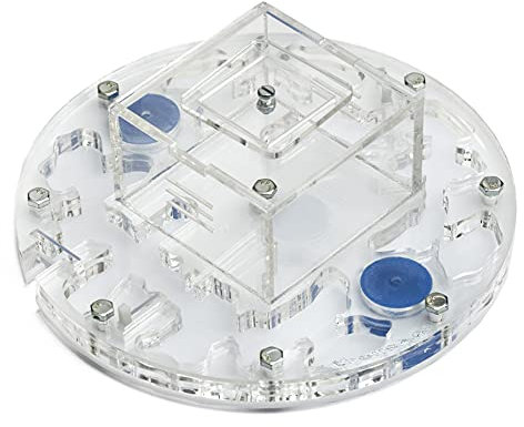 AntHouse - Formicaio Acrilico - Kit Educativo Circolare Medium 15x15x1,3 cm con Coperchio | Sistema di umidità a Schiuma | Formiche Gratis Incluse con Regina