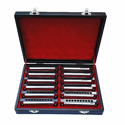 Swan 10 Loch Blues Power Mundharmonika Blues Harp Mundharmonika Diatonische Mundharmonika Set 12 Schlüssel in Geschenkbox