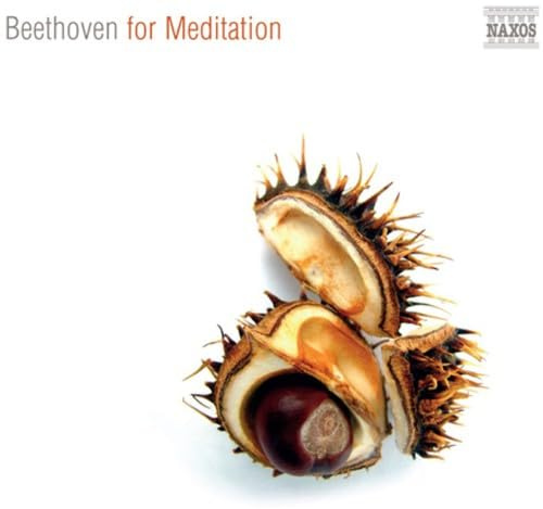 Beethoven for Meditation