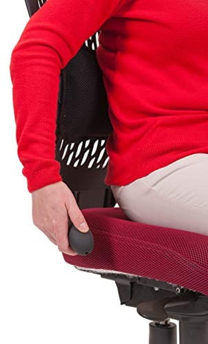 AirCareSystems™ (Reg: UK00003133539) Infinitely adjustable Lumbar Support Pad for Lower Back Pain Relief. Hand pump inflating air cell and sculptured foam. Breathable washable 3D mesh cover. AirCare Ergonomics™ (Reg: UK00003133539)