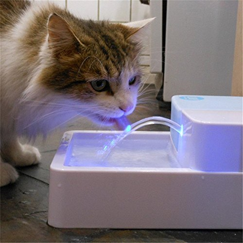 1.8L LED + UV stérilisation automatique Pet Fontaine à eau 12 V pour animal domestique d'Safe Drinking filtre Bol pour chiens chats