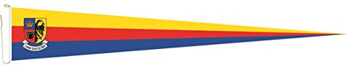 U24 Langwimpel Nordfriesland Fahne Flagge Wimpel 200 x 40 cm Premiumqualität