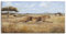 ARTland Wanddeko Leinwand Bilder Wandbild Wandbilder 100 x 50 cm Tiere Wildtiere Raubkatze Malerei Braun A6QU Laufender Gepard
