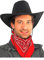 FIESTAS GUIRCA | Sombrero Vaquero Simil-Piel (Talla Única) - Accesorio de Disfraz para Fiestas del Viejo Oeste, Texas y Carnaval - Ideal para Cosplay y Halloween - Adultos Unisex - Negro