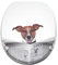 Sanilo Soft Close Toilet Seat, Wide Choice of New Toilet Seats, Stable Hinges, Easy to Mount (Newspaper)