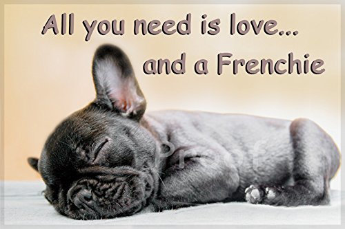 French Bulldog Dog Funny Fridge Magnet
