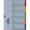 Pagna Register A4 225g/qm Karton A4 5-teilig
