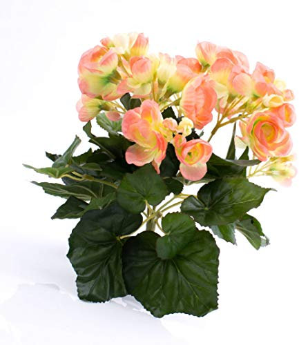 artplants.de Künstliche Mini Begonie Ivana, 27 Blätter, 9 Blüten, pfirsich, 20cm, Ø 20cm - Künstliche Blumen - Textilblumen orange