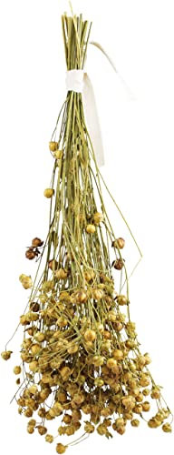 JR FARM Linaza de Lino 30 g