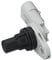HELLA 6PU 009 121-331 Sensore, Posizione albero a camme - 12V - 3a... poli - senza cavo